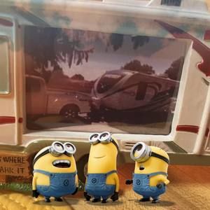 Meet your Posher, Ann marie